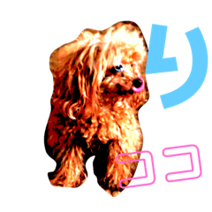 [LINEスタンプ] cocoスタンプ1