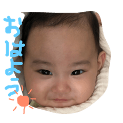 [LINEスタンプ] タオちゃんスタンプ