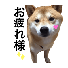 [LINEスタンプ] ソラくん。
