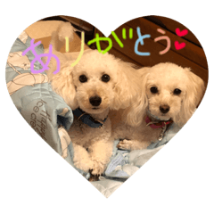 [LINEスタンプ] ルイレイの毎日