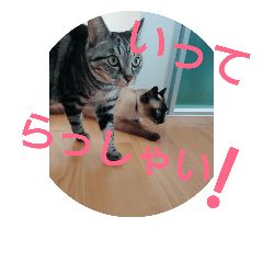 [LINEスタンプ] 普段使いに！