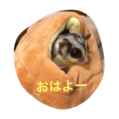 [LINEスタンプ] わが家のももちゃん