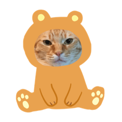 [LINEスタンプ] ちぃーたん