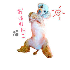 [LINEスタンプ] 程良く可愛いわんこυ´• ﻌ •`υ