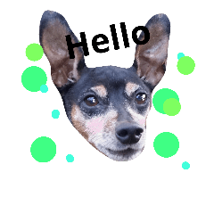 [LINEスタンプ] ミニピン銀