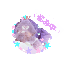 [LINEスタンプ] うさぎ_灰色