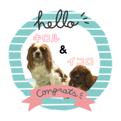 [LINEスタンプ] キロル＆イコロ