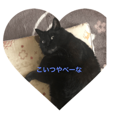 [LINEスタンプ] ねこねこ スタンプ