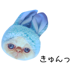 [LINEスタンプ] ノアくん エピソード②