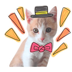 [LINEスタンプ] おみそちゃんスタンプ 1