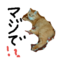 [LINEスタンプ] キリの日常