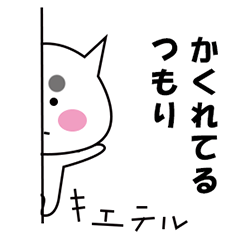マロ眉メイク猫 日常の生活