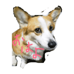 [LINEスタンプ] さき'sちび