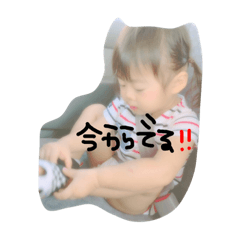[LINEスタンプ] さらんの日常写真