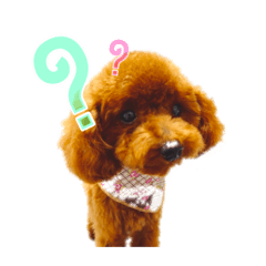 [LINEスタンプ] トイプーコロンのスタンプ