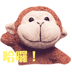 [LINEスタンプ] 猿 タンタン