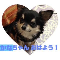 [LINEスタンプ] かなちゃんに送るスタンプ！！
