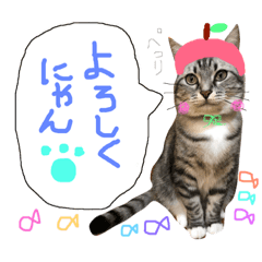 [LINEスタンプ] 愛猫レモンちゃんスタンプ①