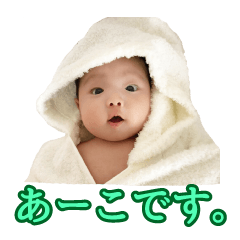 [LINEスタンプ] あーこのすたんぷ
