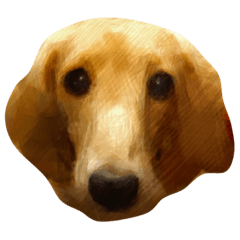 [LINEスタンプ] シェリーちゃん^_^