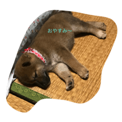 [LINEスタンプ] おつかれサマー