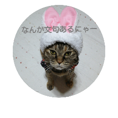 [LINEスタンプ] ニャロメ通信1