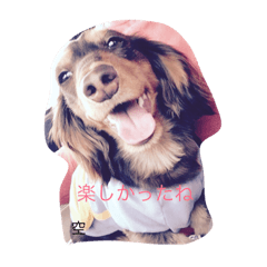 [LINEスタンプ] みんなあつまれ！