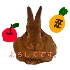 [LINEスタンプ] おもち③！