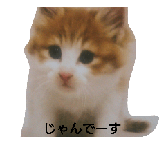 [LINEスタンプ] じゃんくん3