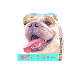 [LINEスタンプ] ライフ スタイル