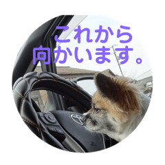 [LINEスタンプ] こうめちゃん！