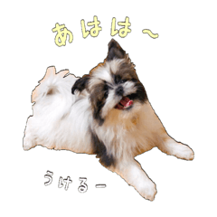 [LINEスタンプ] ポメシーニコとおばあ ほのぼのスタンプ