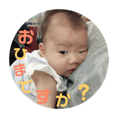 [LINEスタンプ] ゆわぴょん
