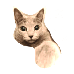 [LINEスタンプ] ムーちゃんです