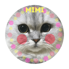 [LINEスタンプ] ミヌエットのmimi