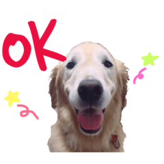 [LINEスタンプ] ぴあじぇ