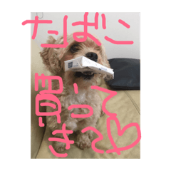 [LINEスタンプ] ぶん＆じん2