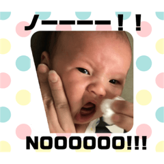 [LINEスタンプ] 我が家のお坊っちゃん
