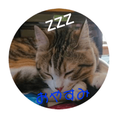 [LINEスタンプ] ウチのラブたん