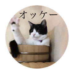 [LINEスタンプ] ニャンズースタンプ