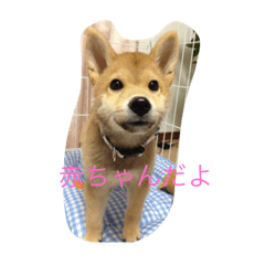 [LINEスタンプ] RUI 1016