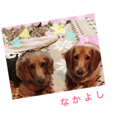[LINEスタンプ] ラムfamily