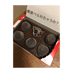 [LINEスタンプ] 片眉のピノ氏