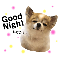[LINEスタンプ] tomahono