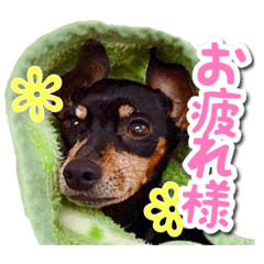[LINEスタンプ] 麦セリフスタンプ