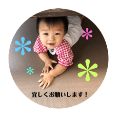[LINEスタンプ] 怪獣こはる