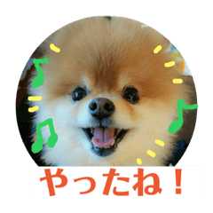 [LINEスタンプ] ハルク イッチバーン