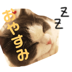 Polco2