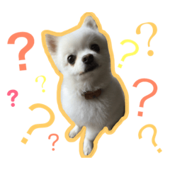 [LINEスタンプ] くうぽちのすたんぷ