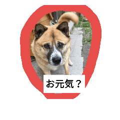 [LINEスタンプ] スーちゃん好き好き